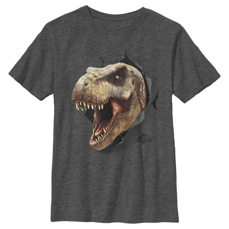 Boy's Jurassic World T. Rex Escape T-Shirt