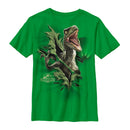 Boy's Jurassic World Velociraptor Rip T-Shirt