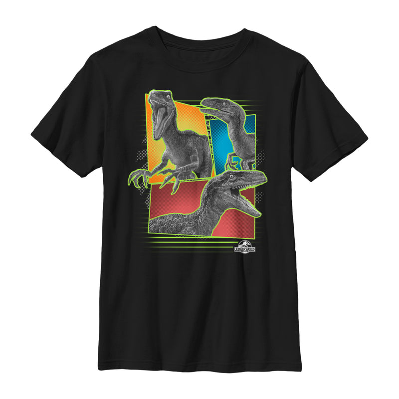 Boy's Jurassic World Retro Raptor Panel T-Shirt