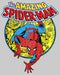 Men's Marvel Amazing Spider-Man Responsibility Sweatshirt