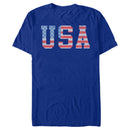 Men's Lost Gods American Flag Letters USA T-Shirt