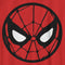 Boy's Marvel Spider-Man Large Icon T-Shirt