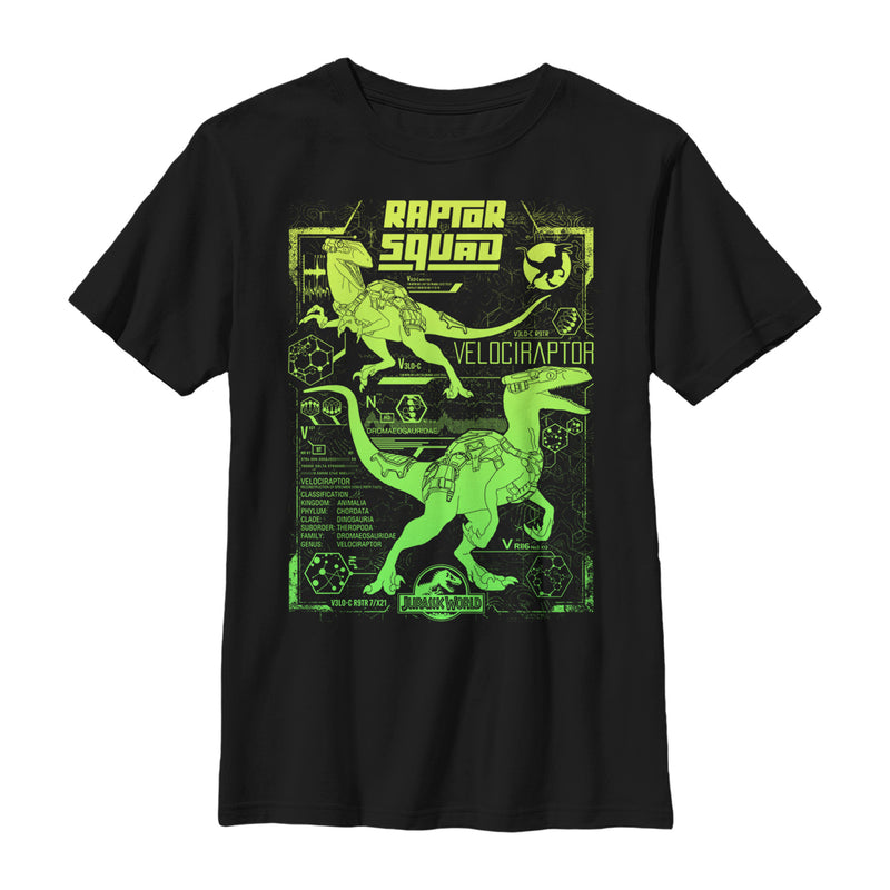 Boy's Jurassic World Raptor Squad Statistics T-Shirt