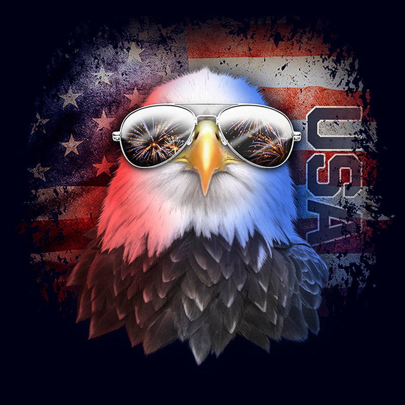 Men's Lost Gods Fourth of July USA Eagle T-Shirt