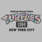 Men's Teenage Mutant Ninja Turtles New York City 1984 Floral Logo T-Shirt