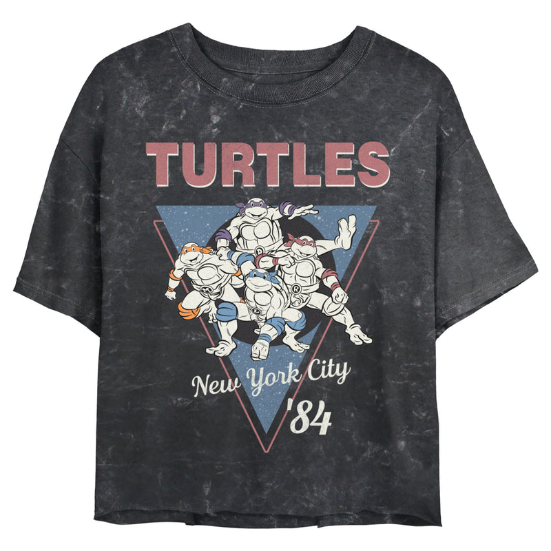 Junior's Teenage Mutant Ninja Turtles Distressed Group Triangle T-Shirt