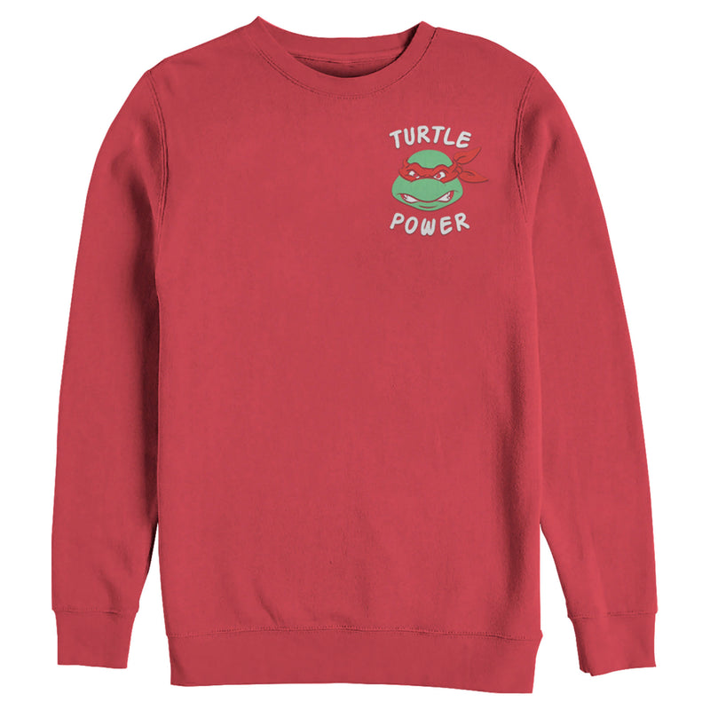 Men's Teenage Mutant Ninja Turtles Raphael Turtle Power Sweatshirt