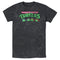 Men's Teenage Mutant Ninja Turtles Distressed Character Lineup T-Shirt