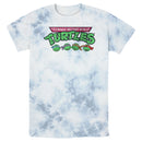 Men's Teenage Mutant Ninja Turtles Distressed Character Lineup T-Shirt