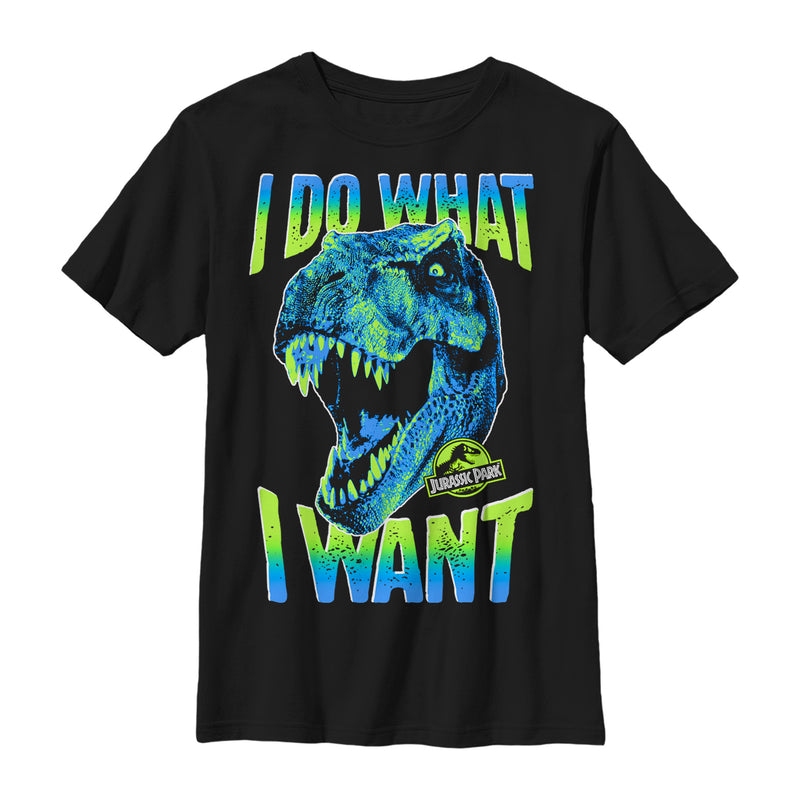 Boy's Jurassic Park T. Rex Do What I Want T-Shirt