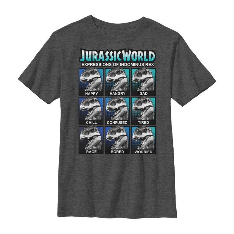 Boy's Jurassic World Indominus Rex Expressions T-Shirt