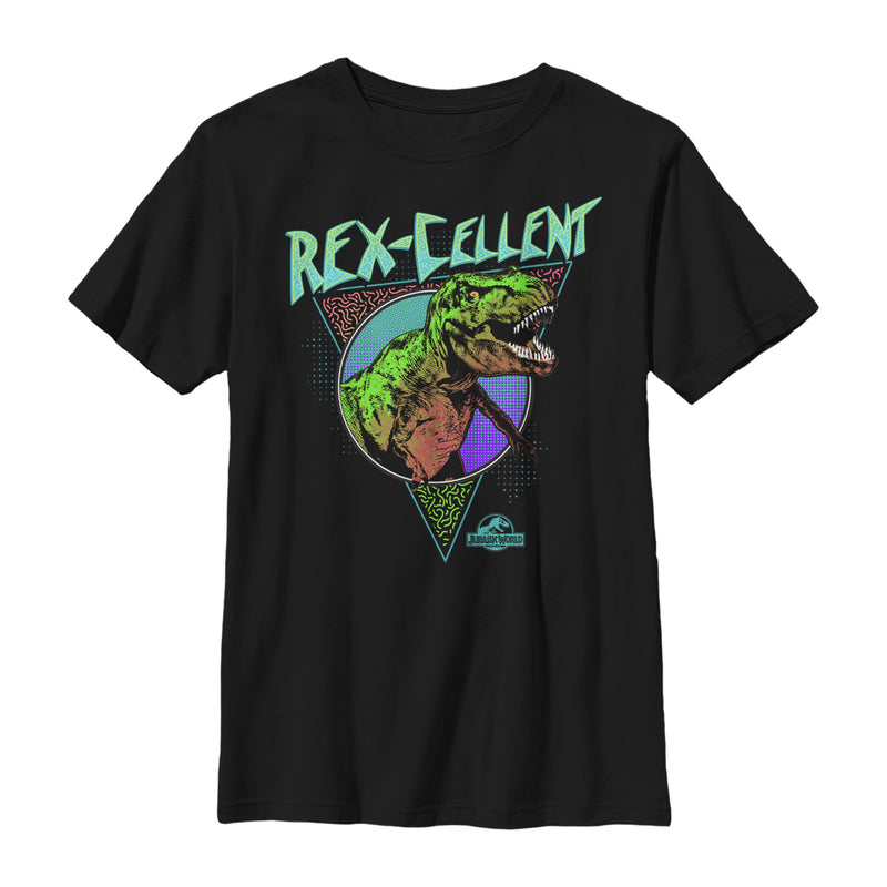 Boy's Jurassic World Retro Rexcellent Dino T-Shirt