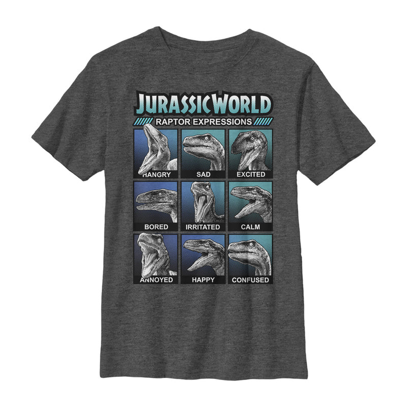 Boy's Jurassic World Velociraptor Expressions T-Shirt