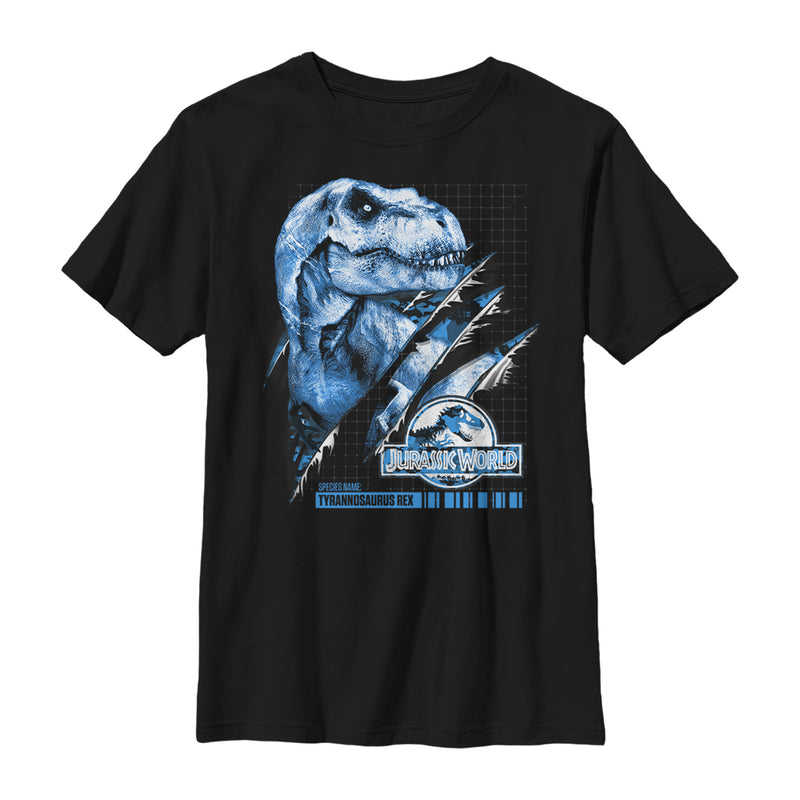 Boy's Jurassic World T. Rex Grid Slash T-Shirt
