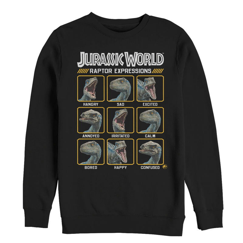 Men's Jurassic World: Fallen Kingdom Raptor Expressions Sweatshirt