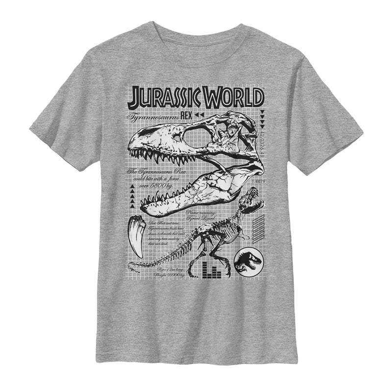 Boy's Jurassic World: Fallen Kingdom T. Rex Details T-Shirt