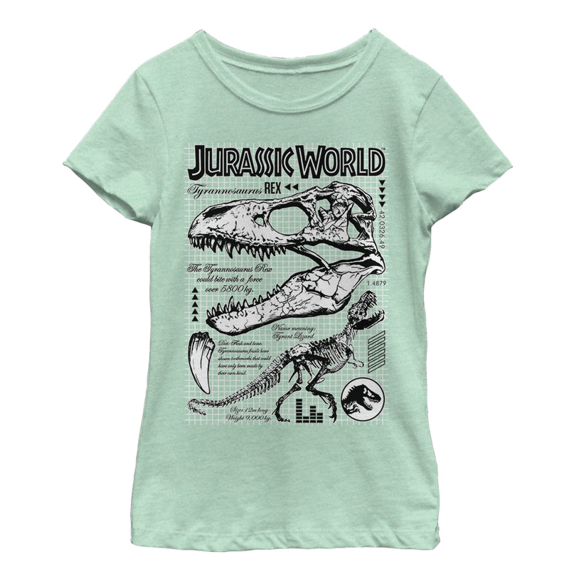 Girl's Jurassic World: Fallen Kingdom T. Rex Details T-Shirt