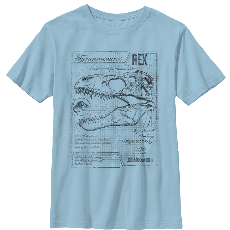 Boy's Jurassic World: Fallen Kingdom T. Rex Schematics T-Shirt