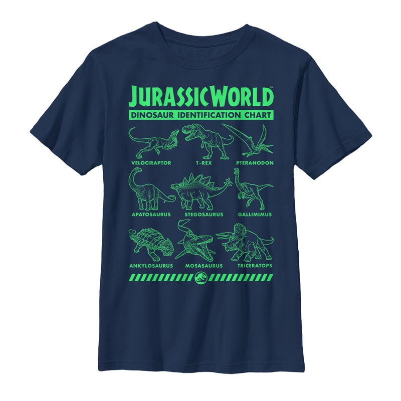 Boy's Jurassic World: Fallen Kingdom Dinosaur Identification Card T-Shirt