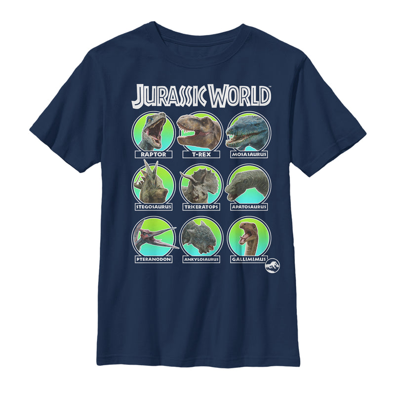 Boy's Jurassic World: Fallen Kingdom Dino All Stars T-Shirt