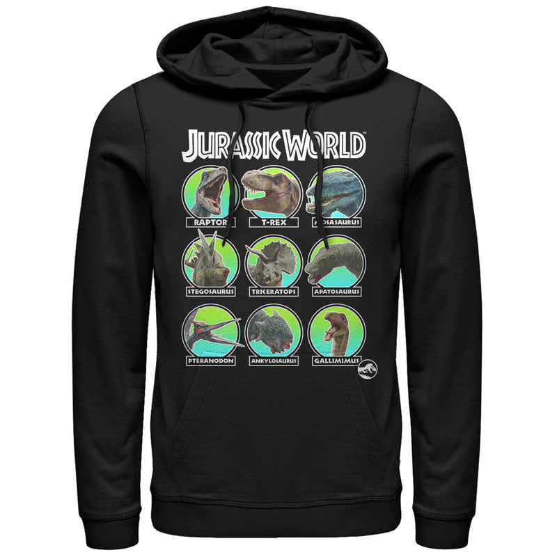 Men's Jurassic World: Fallen Kingdom Dino All Stars Pull Over Hoodie