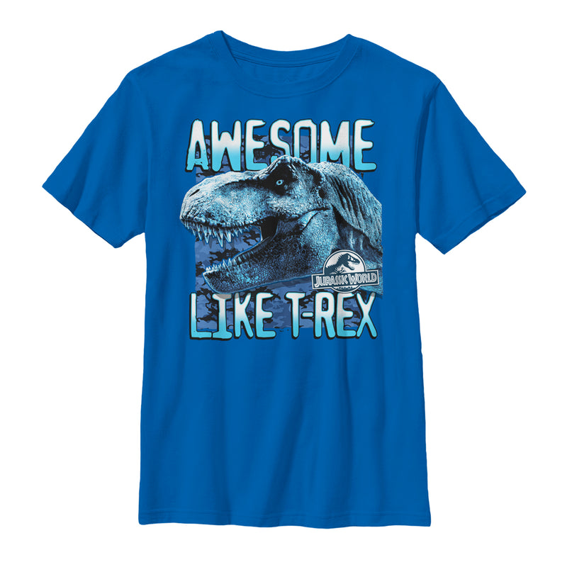Boy's Jurassic World: Fallen Kingdom Awesome T.Rex T-Shirt