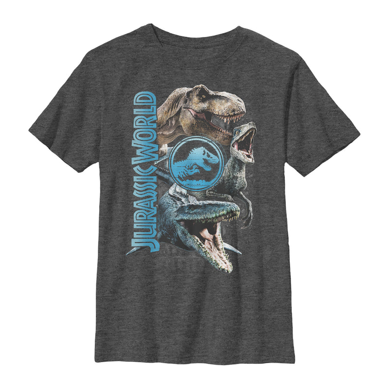 Boy's Jurassic World: Fallen Kingdom Dinosaur Montage T-Shirt