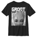 Boy's Marvel Guardians of the Galaxy Vol. 2 Baby Groot Close-Up T-Shirt