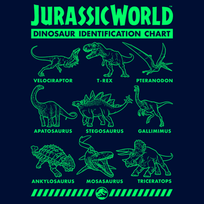 Boy's Jurassic World Fallen Kingdom Dinosaur Identification Card T-Shirt