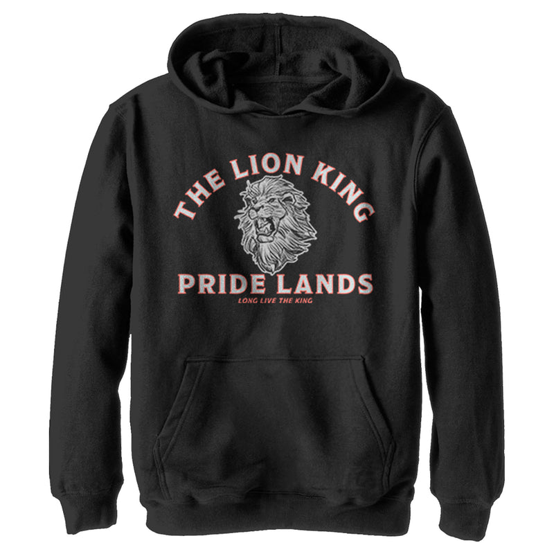 Boy's Lion King Long Live the King Sketch Pull Over Hoodie