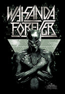 Boy's Marvel Black Panther 2018 Wakanda Salute T-Shirt