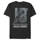 Men's Marvel Black Panther 18th Birthday Action Pose T-Shirt