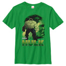 Boy's Marvel Avengers: Infinity War Hulk View T-Shirt