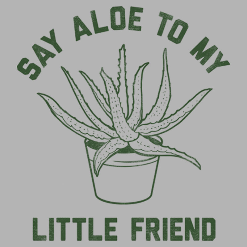 Men's Lost Gods Say Aloe To My Little Friend Pull Over Hoodie