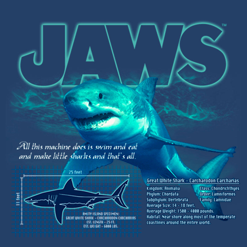 Boy's Jaws Shark Blueprint Pull Over Hoodie