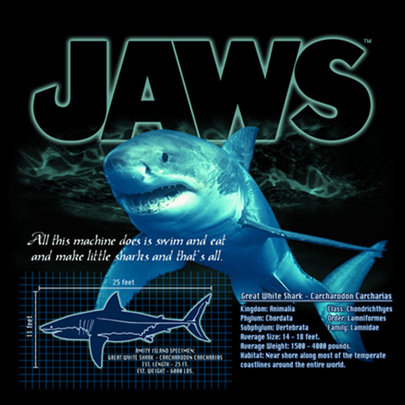 Boy's Jaws Shark Blueprint Pull Over Hoodie