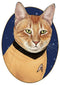 Men's Star Trek: The Original Series Captain Kirk Cat Baseball Tee