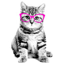 Girl's Lost Gods Fluffy Kitten in Pink Glasses T-Shirt