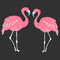 Women's Lost Gods Couple Pink Flamingos T-Shirt