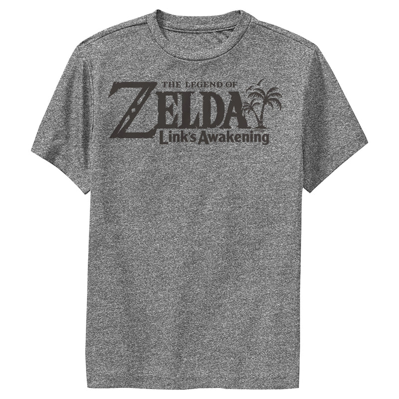Boy's Nintendo Legend of Zelda Link's Awakening Switch Logo Performance Tee