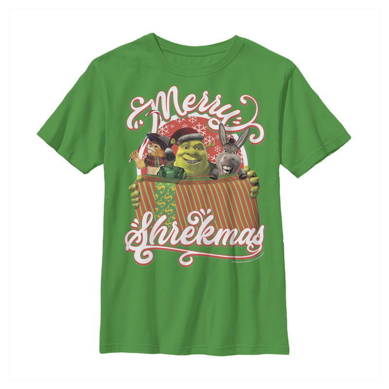 Boy's Shrek Merry Shrekmas T-Shirt