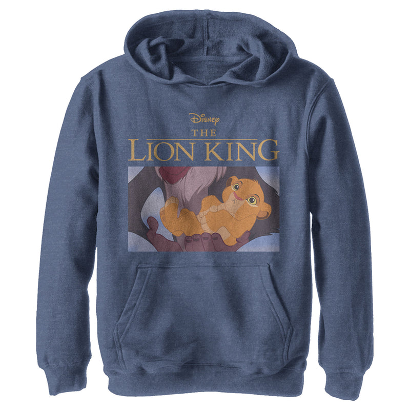 Boy s Lion King Simba and Rafiki Scene Pull Over Hoodie Fifth Sun