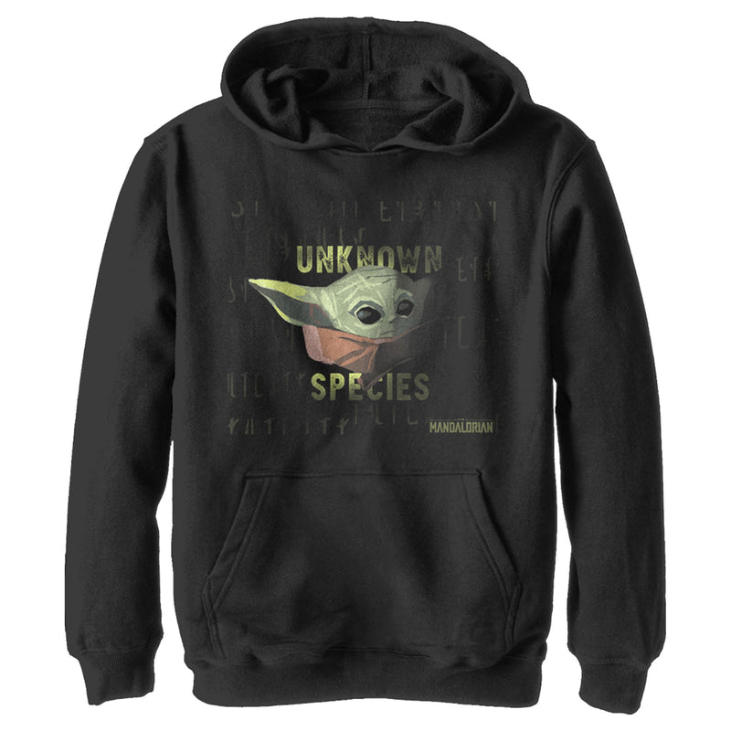 Boy's Star Wars: The Mandalorian The Child Unknown Species Pull Over Hoodie