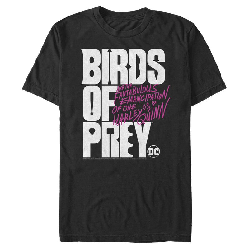 Men's Birds of Prey Bold Text Logo T-Shirt