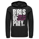 Men's Birds of Prey Bold Text Logo Pull Over Hoodie