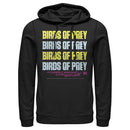 Men's Birds of Prey Logo Stack Pull Over Hoodie