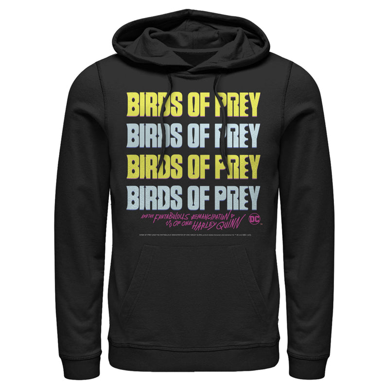 Men's Birds of Prey Logo Stack Pull Over Hoodie