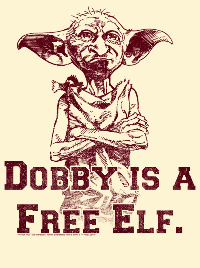 Men's Harry Potter Dobby is a Free Elf T-Shirt