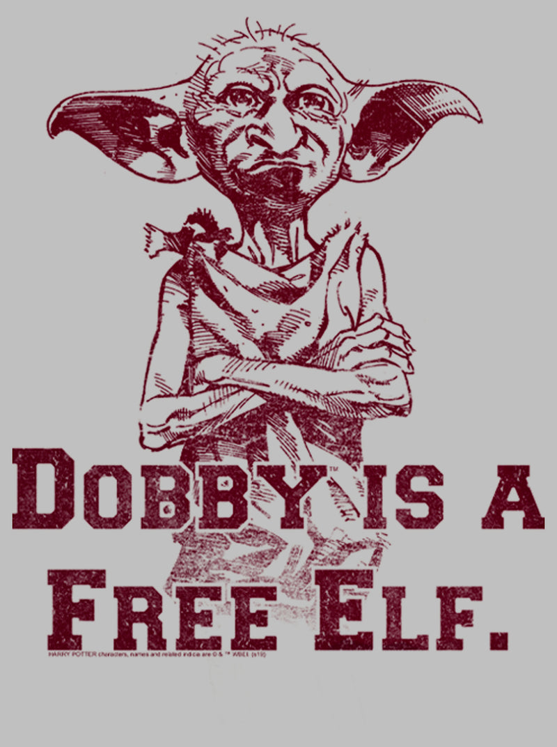 Women's Harry Potter Dobby is a Free Elf T-Shirt