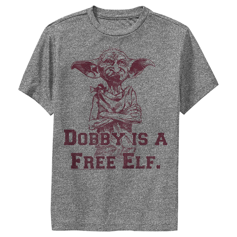 Boy's Harry Potter Dobby is a Free Elf Performance Tee